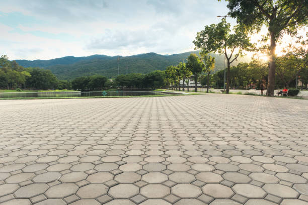 Best Best Driveway Pavers  in Renova, MS