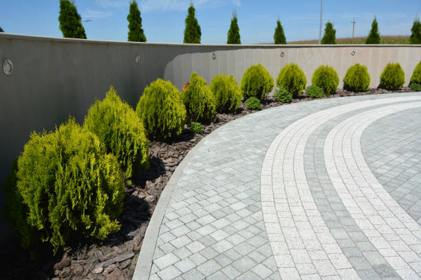 Reasons to Select Us for Your Driveway Paving Requirements in Renova, MS